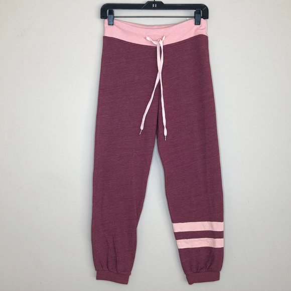 Sundry Pants - Sundry Basic Classic Jogger Sweatpants w/ Stripes